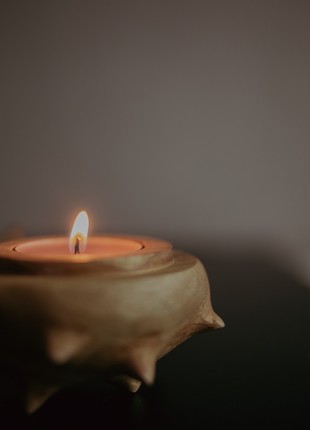 The Chestnut candle, Ukrainian strong nut - Kyiv Chestnut3 photo