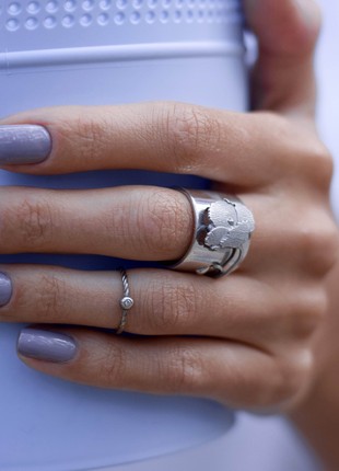 Poppy Ring4 photo