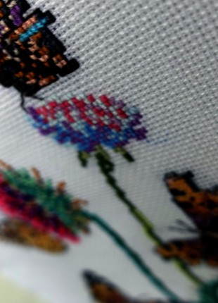 Picture Butterfly2 photo