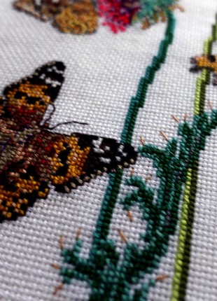 Picture Butterfly3 photo