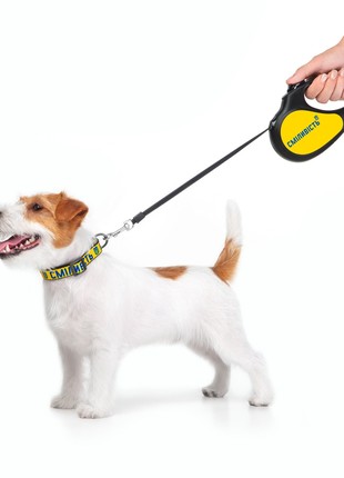 Dog retractable leash WAUDOG R-leash, design “Bravery”, reflective thread, size S7 photo