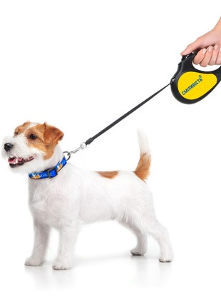 Dog retractable leash WAUDOG R-leash, design “Bravery”, reflective thread, size M8 photo