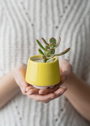 Bright yellow succulent planter - set of 3 pots // ceramic cactus pot // 2 inch pots // mother day plant gift // little plant pots2 photo
