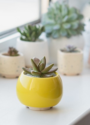 Bright yellow succulent planter - set of 3 pots // ceramic cactus pot // 2 inch pots // mother day plant gift // little plant pots5 photo
