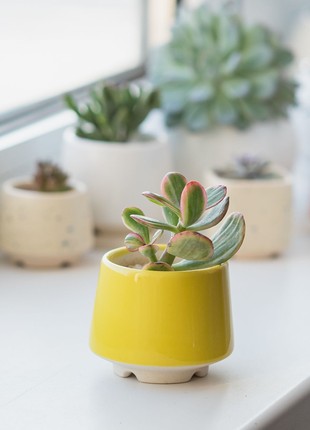 Bright yellow succulent planter - set of 3 pots // ceramic cactus pot // 2 inch pots // mother day plant gift // little plant pots7 photo
