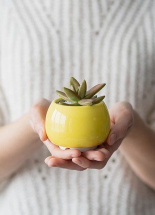 Bright yellow succulent planter - set of 3 pots // ceramic cactus pot // 2 inch pots // mother day plant gift // little plant pots4 photo