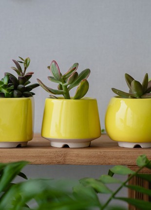 Bright yellow succulent planter - set of 3 pots // ceramic cactus pot // 2 inch pots // mother day plant gift // little plant pots1 photo