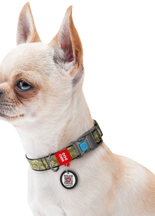 WAUDOG Nylon dog collar, "Military" design, plastic fastex, size M, 20 mm W, 28-40 cm L3 photo