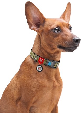 WAUDOG Nylon dog collar, "Military" design, plastic fastex, size M, 20 mm W, 28-40 cm L2 photo