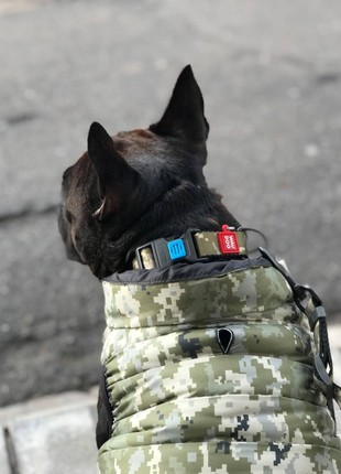 WAUDOG Nylon dog collar, "Military" design, plastic fastex, size XL, 25 mm W, 37-58 cm L8 photo