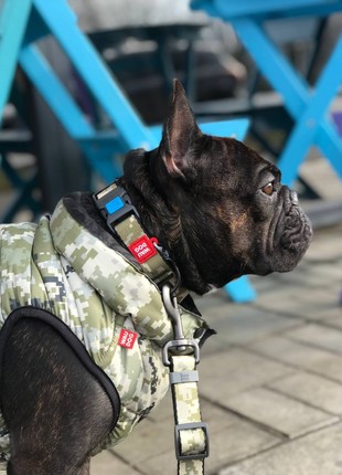 WAUDOG Nylon dog collar, "Military" design, plastic fastex, size M, 20 mm W, 28-40 cm L9 photo