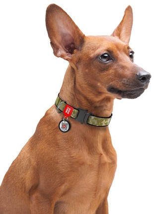 WAUDOG Nylon dog collar, "Military" design, metal fastex, size L, 25 mm W, 33-49 cm L2 photo
