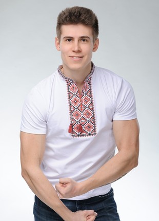 Men's T-shirt with short sleeves with classic embroidery " Otaman" M-11 photo