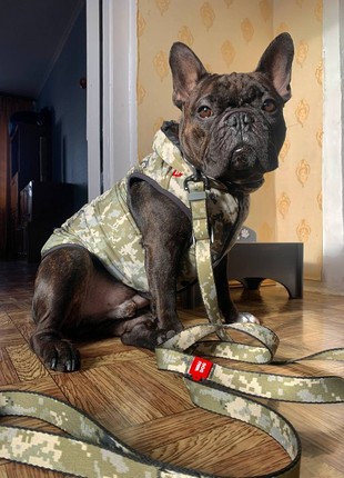 Adjustable nylon dog leash WAUDOG Nylon, design “Military”, L, 152-183 cm L, 25 mm W3 photo