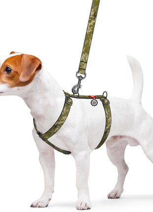 WAUDOG Nylon dog leash, “Military” design, size L, 122 cm L, 25 mm W3 photo