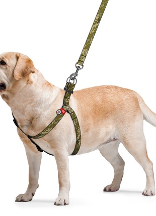 WAUDOG Nylon dog leash, “Military” design, size L, 122 cm L, 25 mm W4 photo