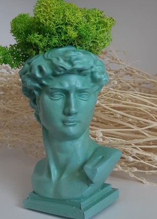 Vase - sculptures with moss " David "( home decoration, planter pots)