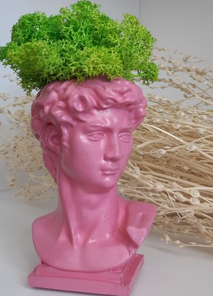 Vase - sculptures with moss " David "( home decoration, planter pots)
