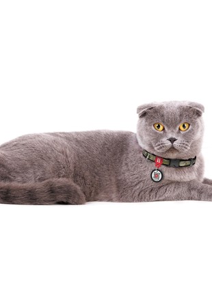 WAUDOG Nylon cat and small dog collar with QR pet tag, "Military", XS, W 10 mm, L 20-30 cm2 photo