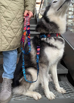 Nylon dog leash BAT&RO "Art" 10ft (300cm)6 photo