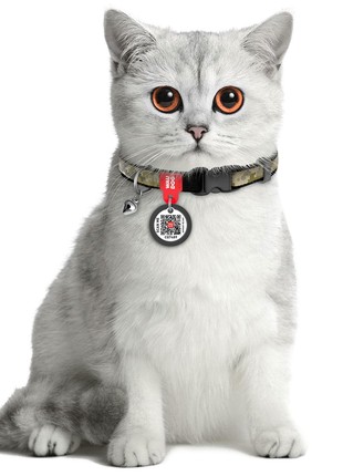 WAUDOG Nylon cat collar with elastic band and QR pet tag, "Military", XS, W 10 mm, L 20-30 cm2 photo