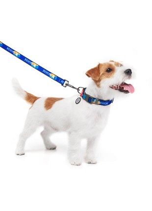 WAUDOG Nylon dog collar, "Flag" design, plastic fastex, size S, W 15 mm, L 25-35 cm2 photo