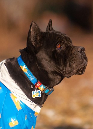 WAUDOG Nylon dog collar, "Flag" design, plastic fastex, size L, W 25 mm, L 33-49 cm7 photo
