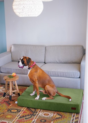 Orthopedic mattress Harley and Cho Oliver Velur Green XL (120x80x15 cm) 310317110 photo