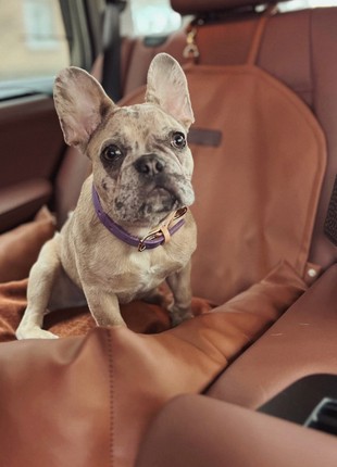 Dog Car Seat "Chocco"