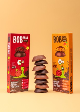 Set of 20 fruit crush in Belgian chocolate8 photo