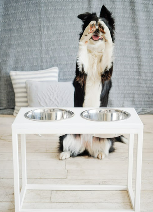 Dog Feeders Harley and Cho Dinner White wood + White XXL50 3300082