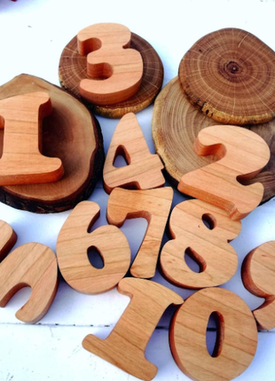 Magnetic Wooden Numbers 1-10 Learning Toy Math Montessori