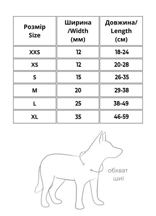 WAUDOG Design genuine leather dog collar, "Bravery" design, XXS, W 12 mm, L 20-28 cm White4 photo