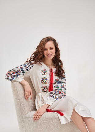 Embroidered dress MEREZHKA "Podilska"5 photo