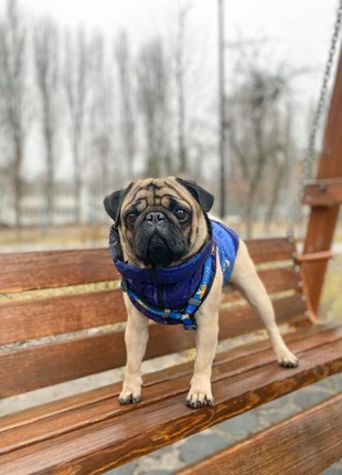 WAUDOG Nylon dog H-harness with QR-passport "Flag" design, plastic fastex, size L9 photo