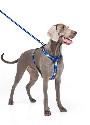 WAUDOG Nylon dog H-harness with QR-passport "Flag" design, plastic fastex, size S2 photo