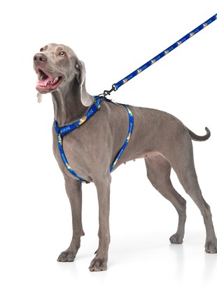 WAUDOG Nylon dog H-harness with QR-passport "Flag" design, plastic fastex, size L6 photo