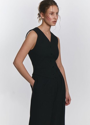 VEST2 photo