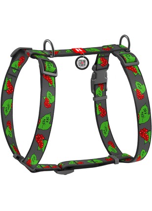 WAUDOG Nylon dog H-harness with QR-passport "Guelder rose" design, plastic fastex, size S