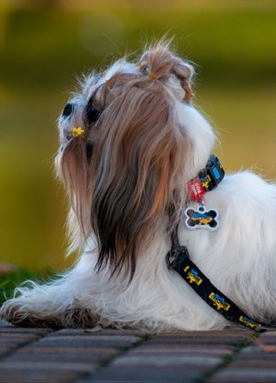 WAUDOG Nylon dog collar, "Home" design, plastic fastex, size M, W 20 mm, L 28-40 cm5 photo