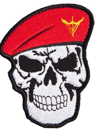 CHEVRON ON VELCRO SKULL LANDING AND ASSAULT TROOPS OF UKRAINE 7X8.5 CM
