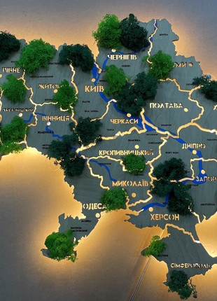 Ukraine LED map with rivers, moss and backlighting between regions color Oak 300x200 cm (111*78.4 inch)