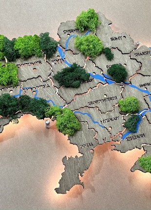 Ukraine LED map with rivers, moss and backlighting between regions color Venge 300x200 cm (111*78.4 inch)