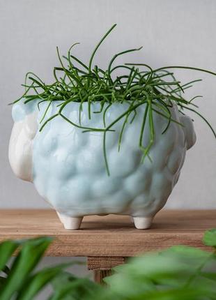 Blue ceramic handmade pot sheep for medium plants, succulent, cactus2 photo
