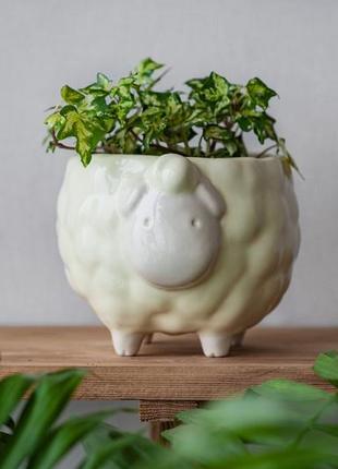Yellow ceramic herbal pot cashpo sheep shape for medium plant