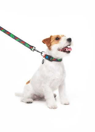 WAUDOG Nylon dog collar, "Guelder rose" design, plastic fastex, size S, W 15 mm, L 25-35 cm6 photo