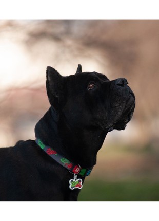 WAUDOG Nylon dog collar, "Guelder rose" design, plastic fastex, size S, W 15 mm, L 25-35 cm7 photo