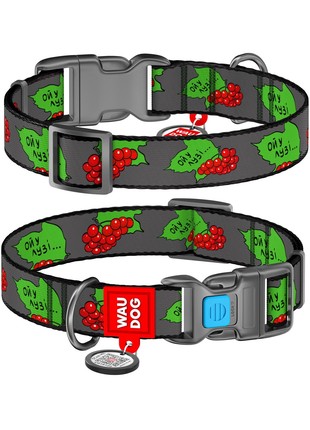 WAUDOG Nylon dog collar, "Guelder rose" design, plastic fastex, size S, W 15 mm, L 25-35 cm