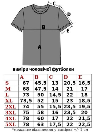 men's t-shirt with "Vinnychanka" embroidery5 photo
