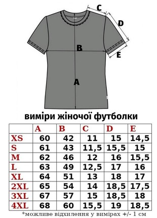 women's t-shirt with "Vinnychanka" embroidery, milk4 photo